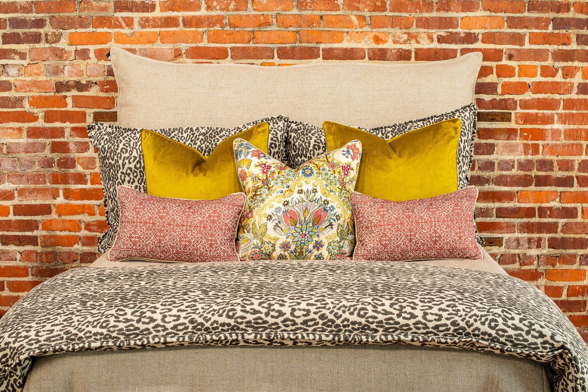 Animal Print Collection