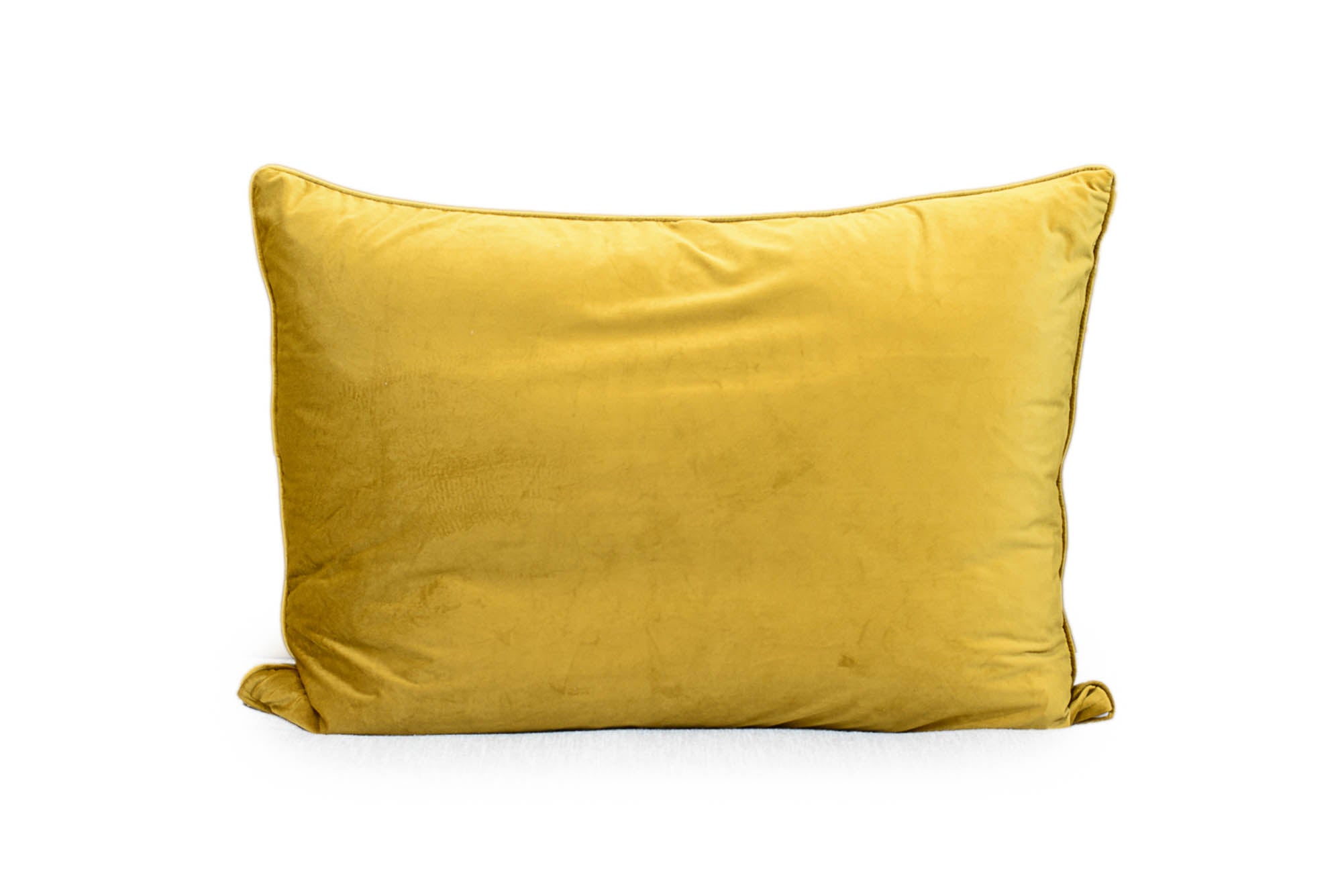 King Euro in Gold Velvet