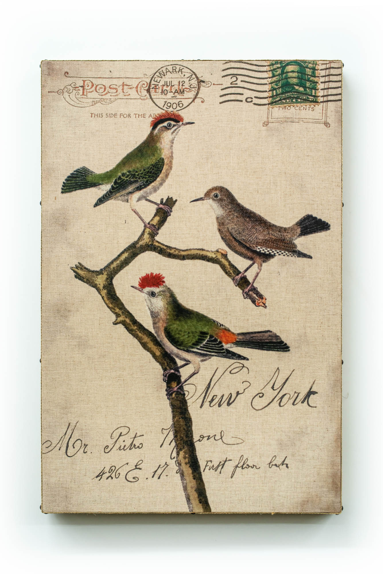 Single Layer Art on Linen Perched