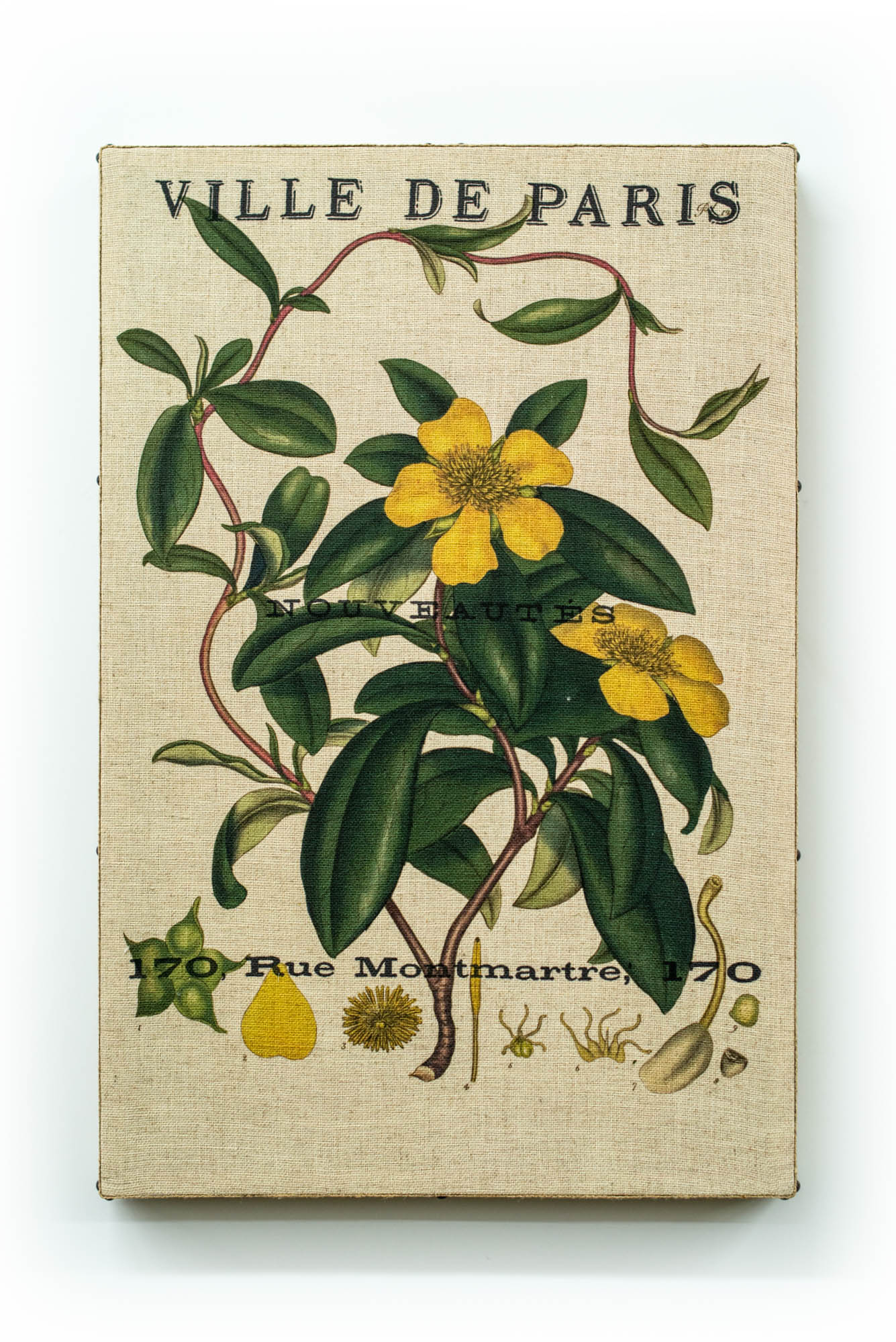 Single Layer Art on Linen Paris Bot Yellow Vine