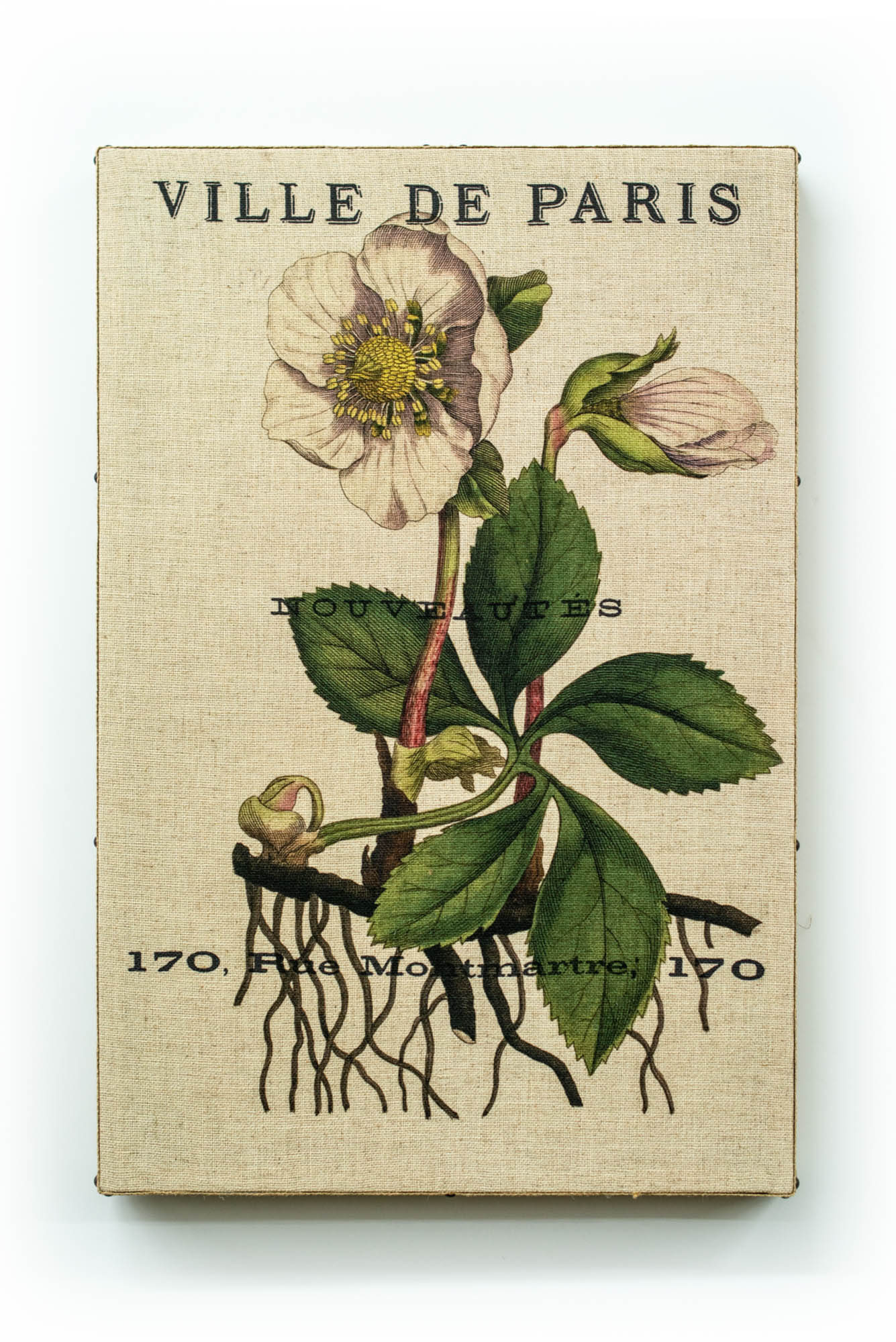 Single Layer Art on Linen Paris Bot White