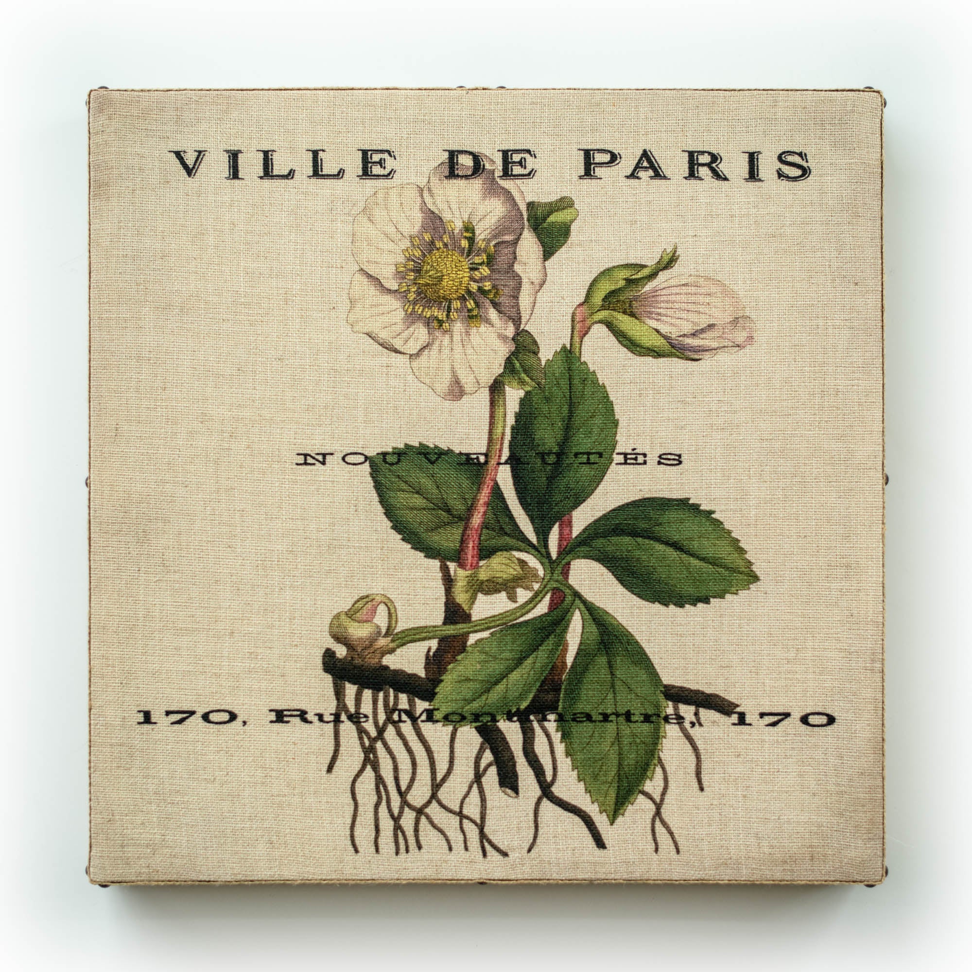 Single Layer Art on Linen Paris Bot White Sq