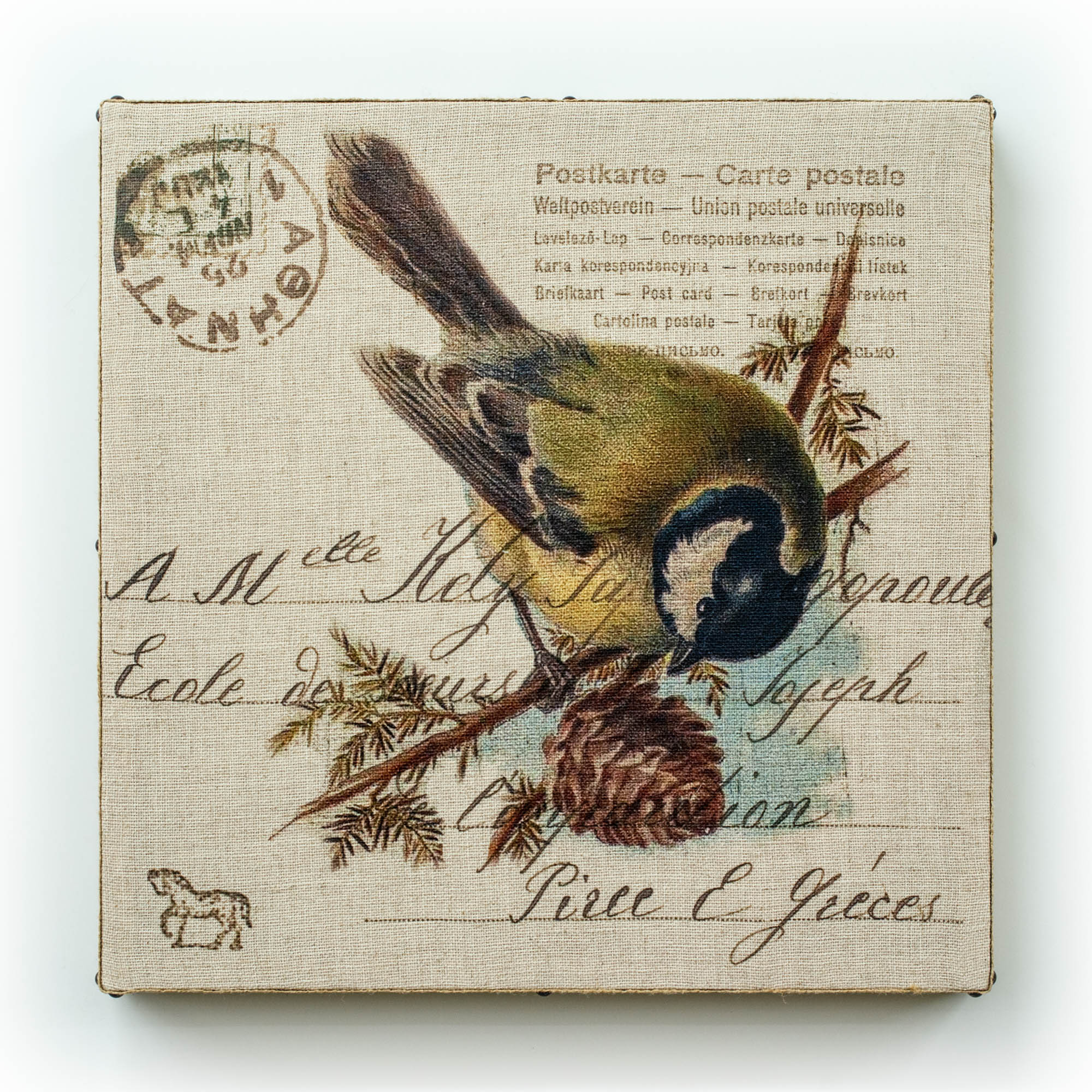 French Bird Green