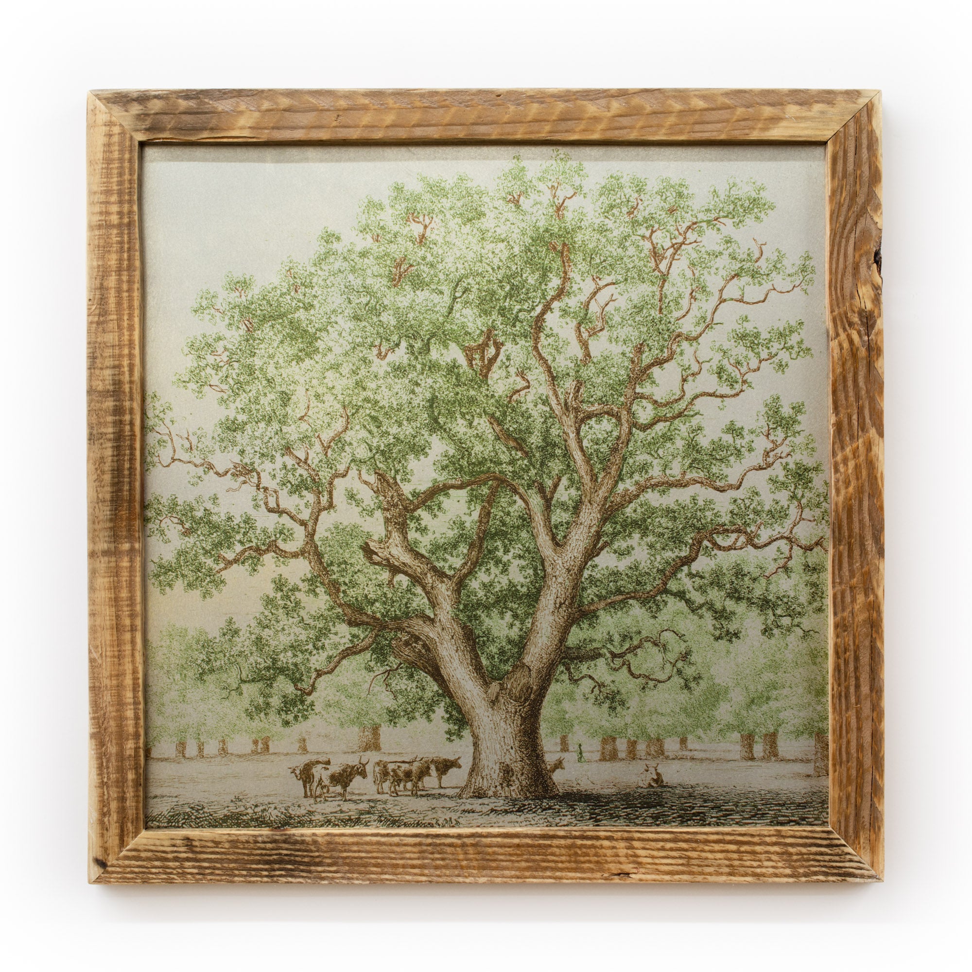 Oak Bull on Galvanized Steel