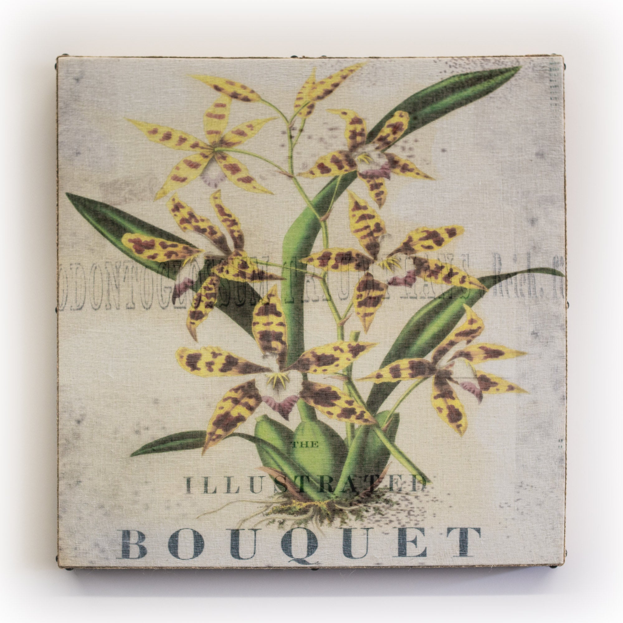 Wall Art Multi Lily Bouquet Square