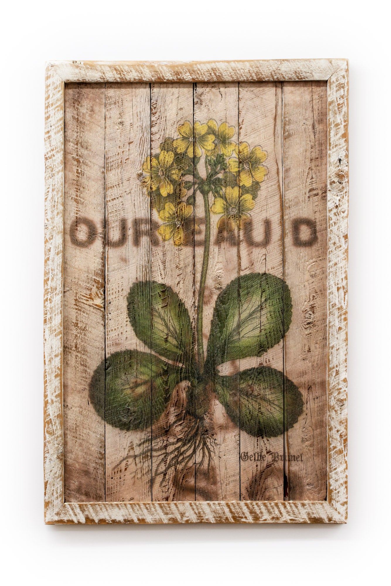 Reclaimed Barnwood Belbe