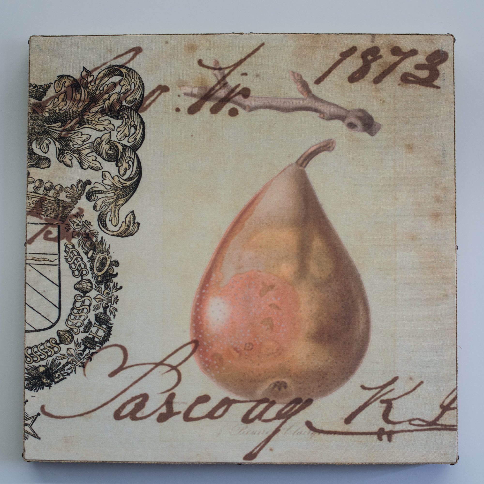 Single Layer Art on Canvas Crest Pear 2