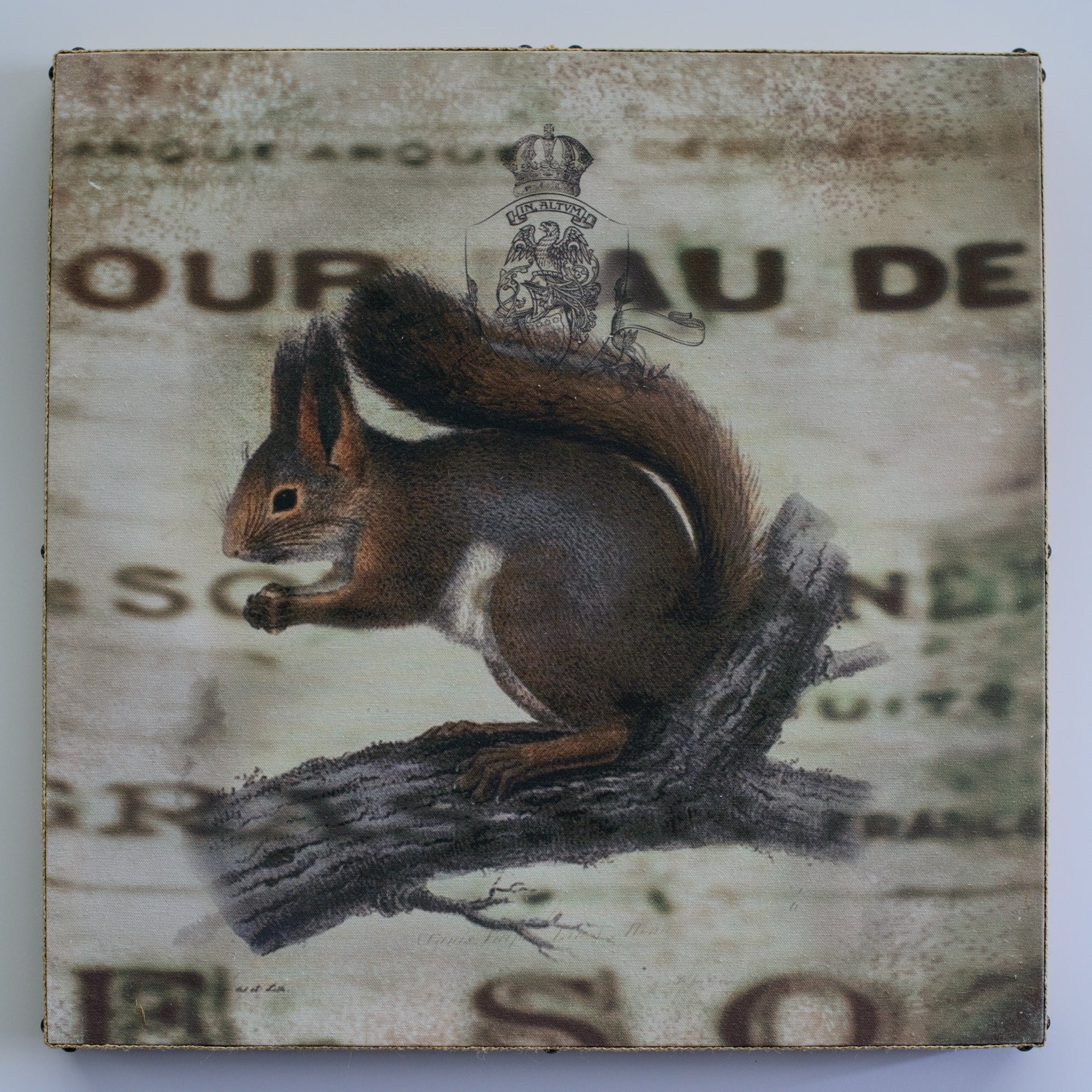Single Layer Art on Canvas Crest Squirrel