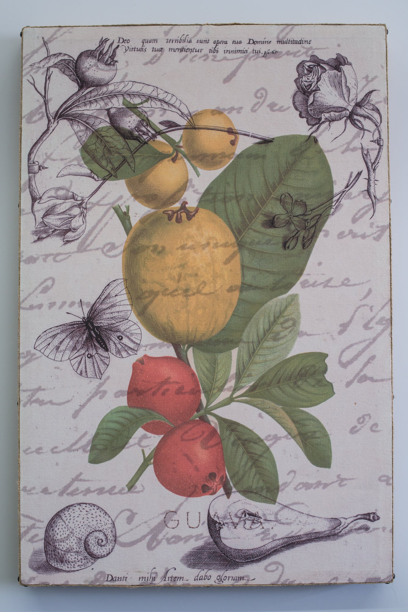 Single Layer Art on Canvas Persimmon