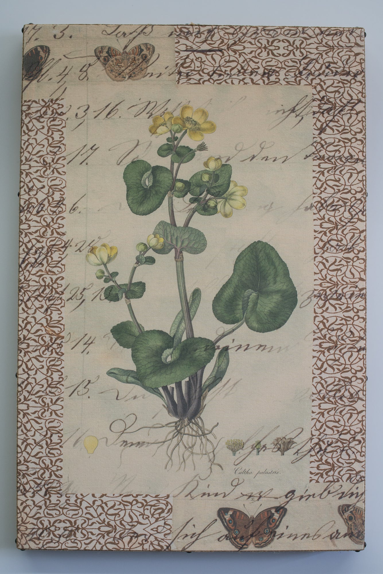Single Layer Art on Canvas Yellow Botanical
