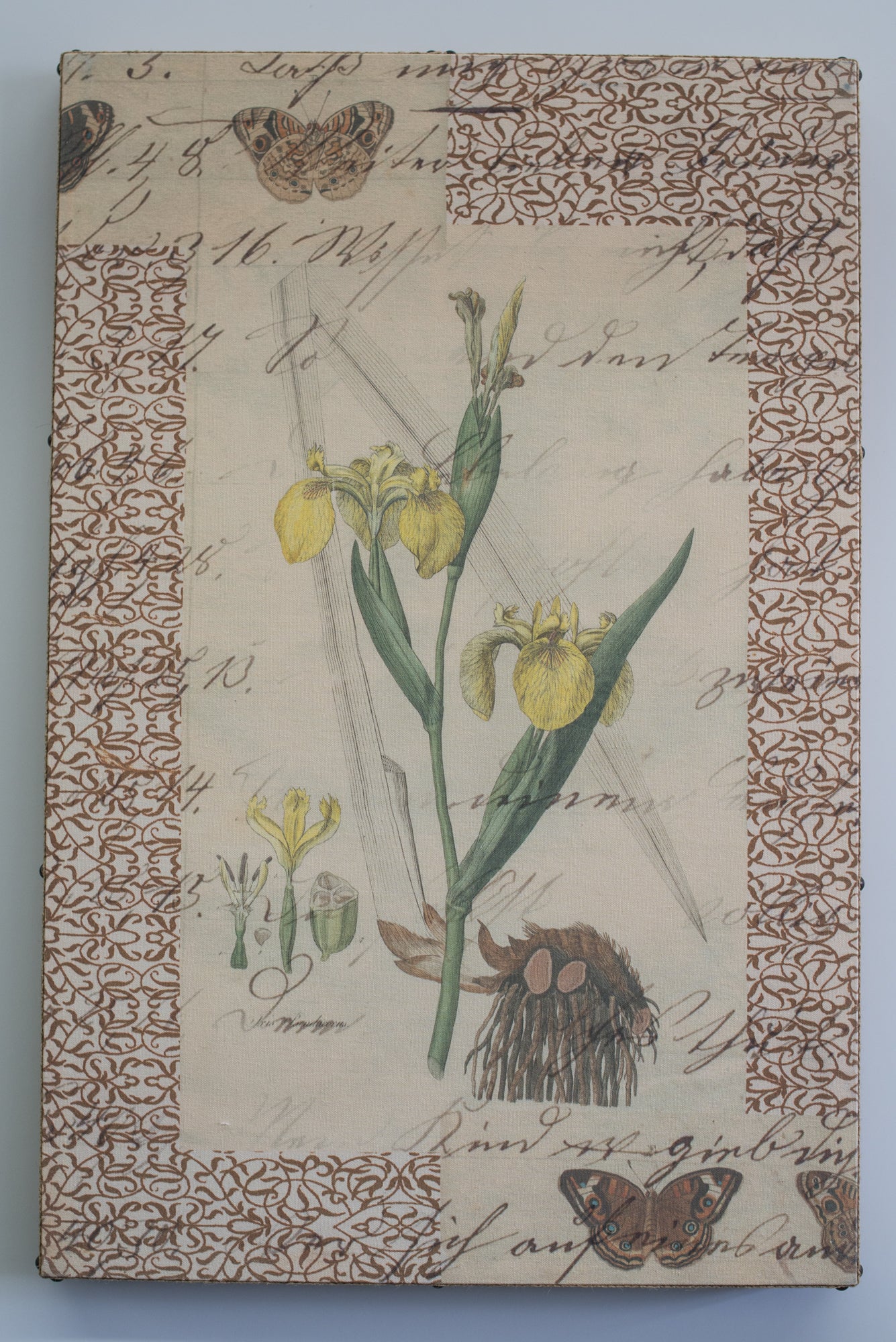 Single Layer Art on Canvas Yellow Iris